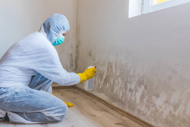 Mold inspector in Sayreville performing thermal imaging